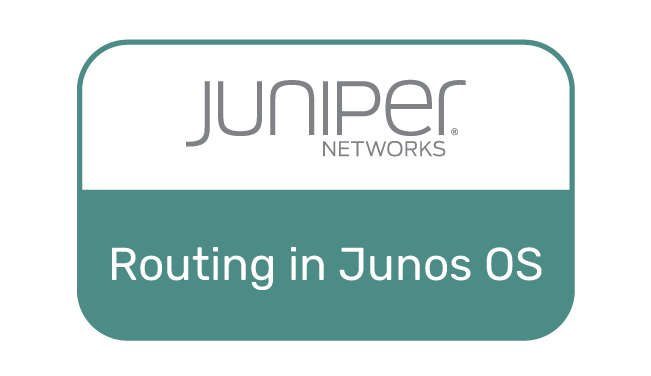 Тренинг «Управление IP-трафиком с использованием динамических и статических протоколов маршрутизации в ПО Juniper JUNOS»