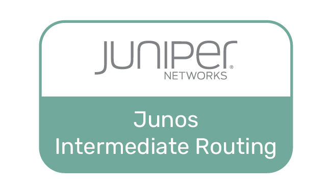 Junos Intermediate Routing