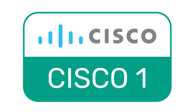 Курс Cisco 1