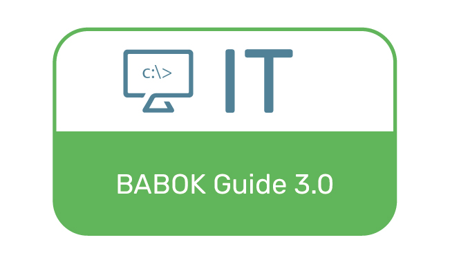 BABOK Guide 3.0