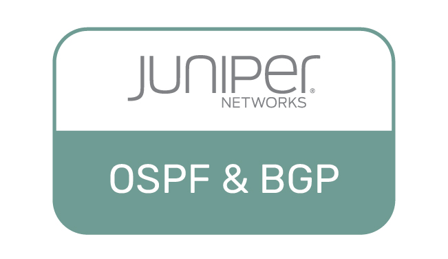 Тренинг «Расширенное управление IP-трафиком с использованием динамических и статических протоколов маршрутизации в ПО Juniper JUNOS»
